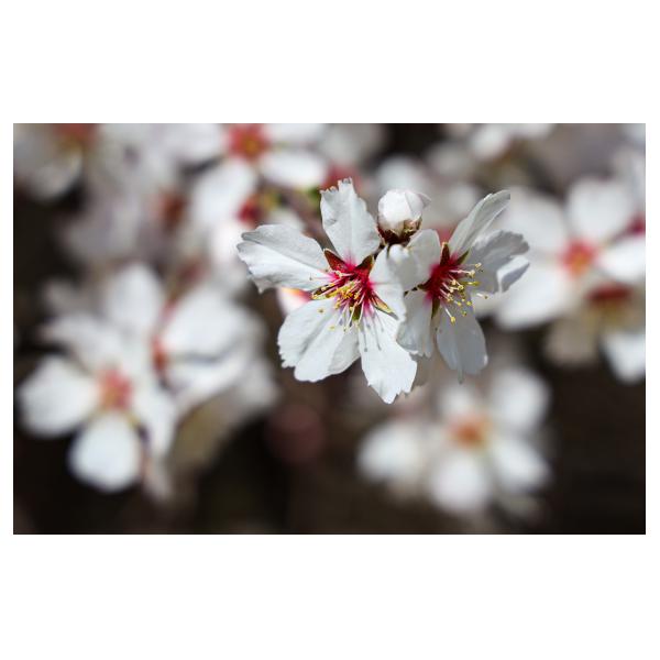 PHOTO84, CLUB, 84 , LUBERON